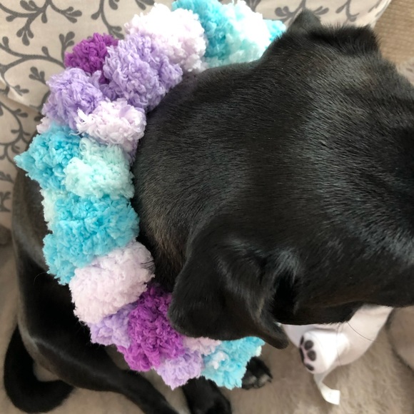 Dog Scarf - Picture 3 of 3